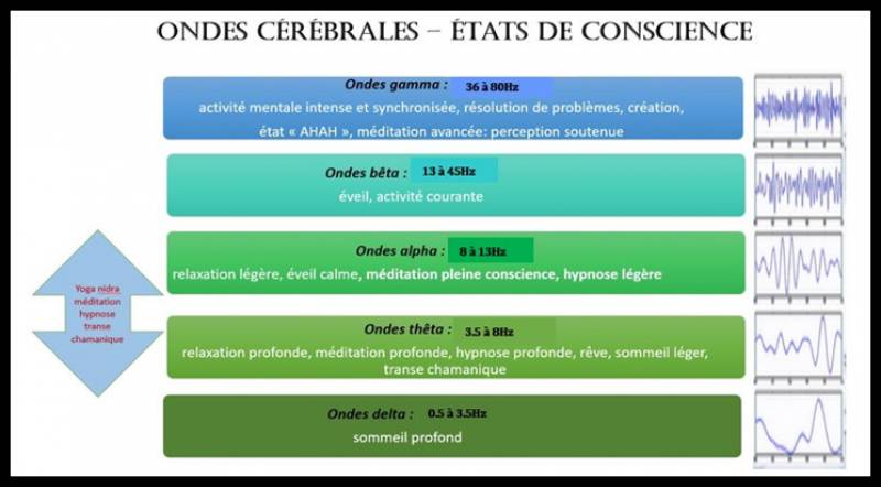 Ondes cérébrales états de conscience